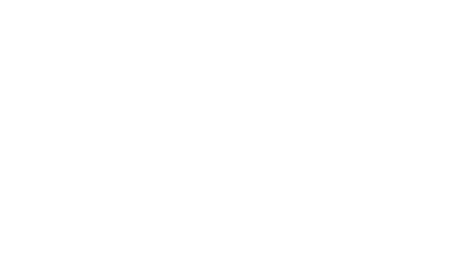 cropped-newcoaching_logo-bco.png